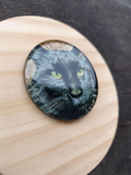 "Shaman" Magnet