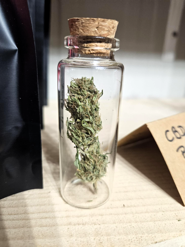 Tisane "Pure Fleur" CBD