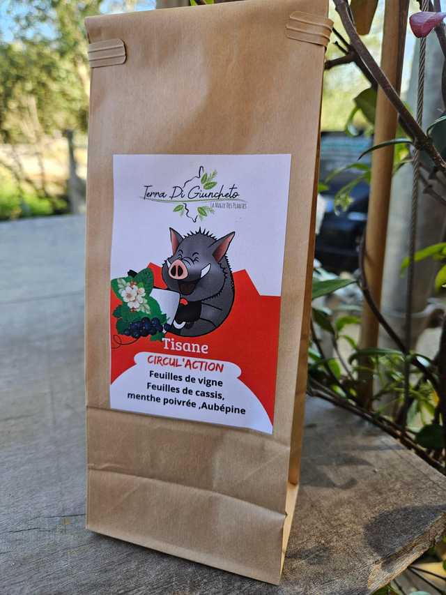 Tisane "Circul'action"