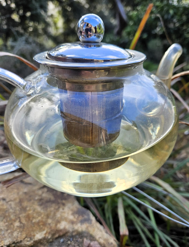Tisane "Souffle du maquis"