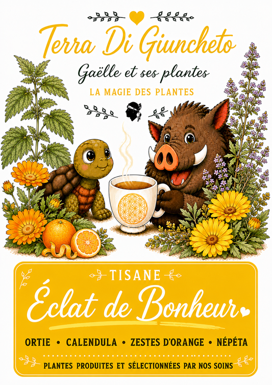 ☀️ Éclat de Bonheur