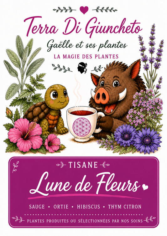 🌙 Lune de Fleurs
