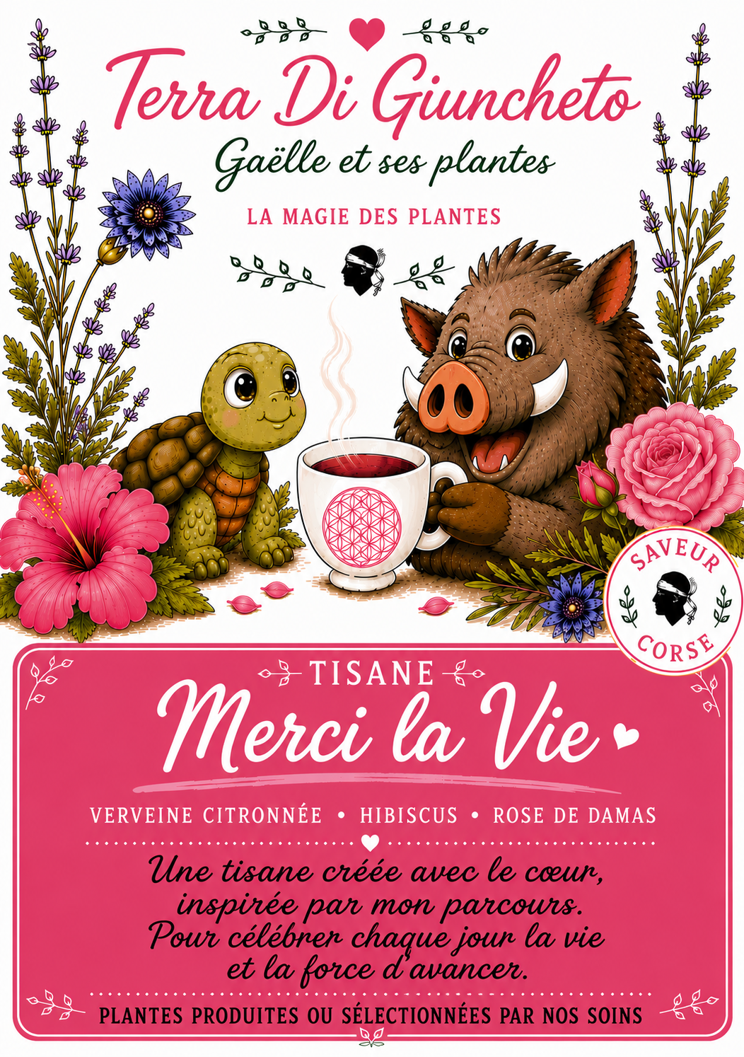 🌷 Merci la Vie