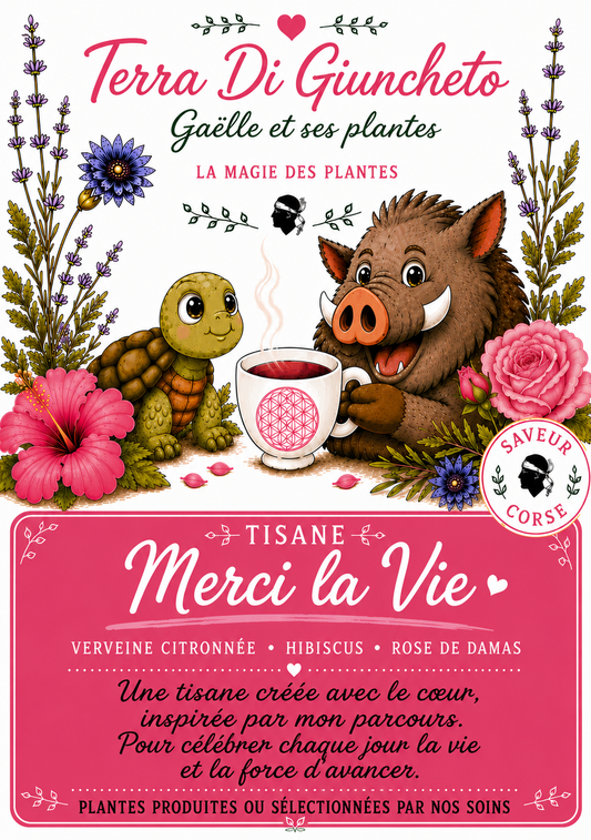 🌷 Merci la Vie