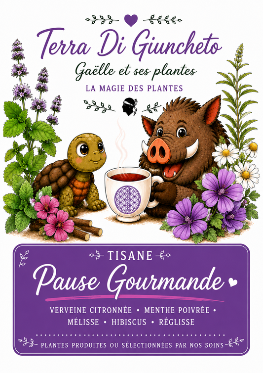 🌿 Pause Gourmande