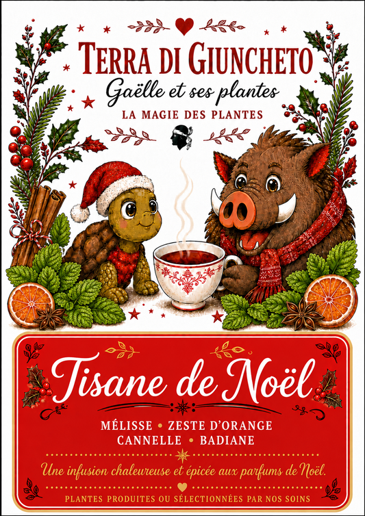 Tisane de Noël 🎄