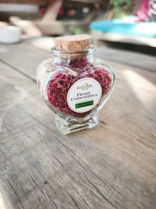 Pétales de Fleurs Comestibles