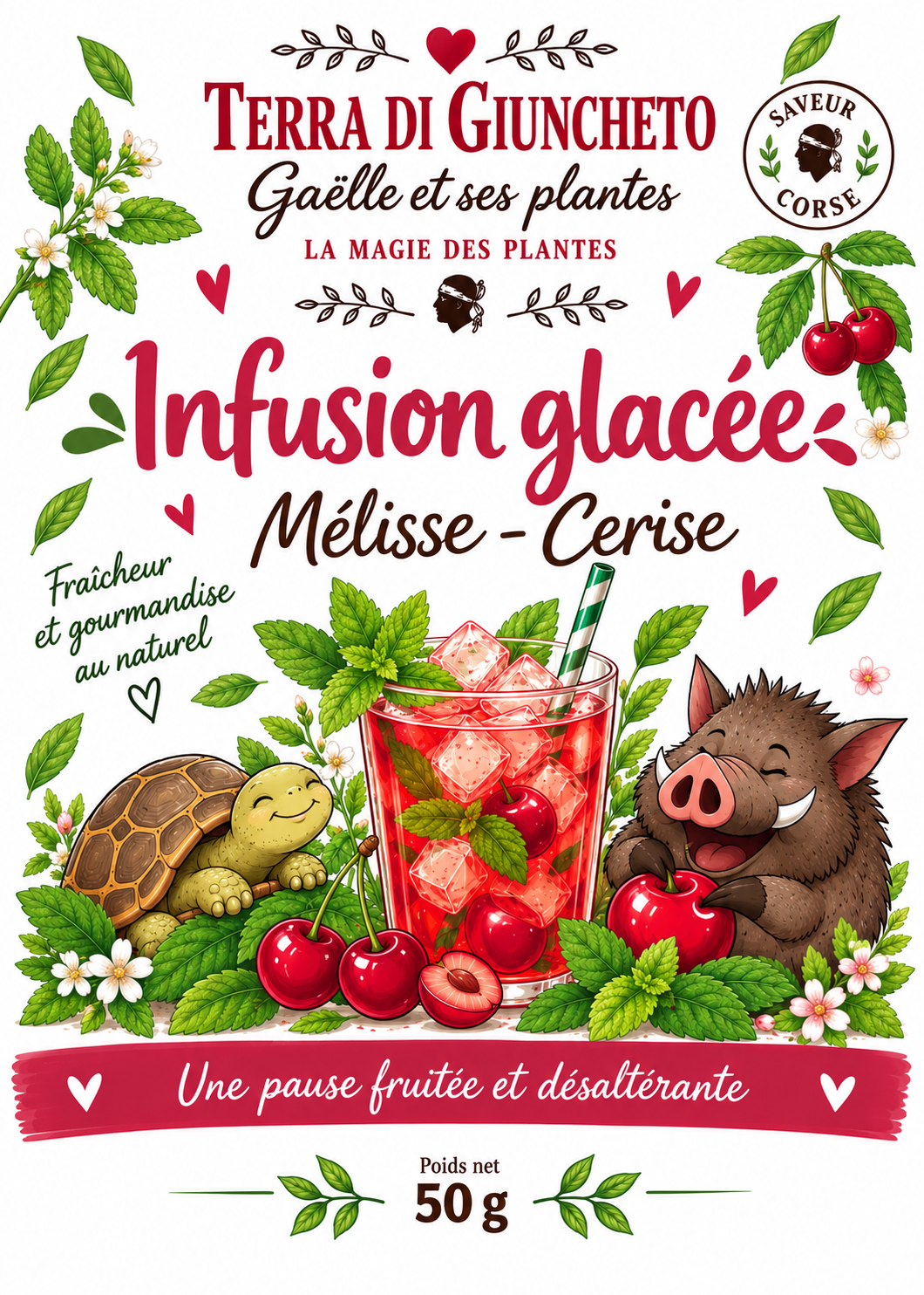 Infusion Glacée - Mélisse & Cerise 🍒