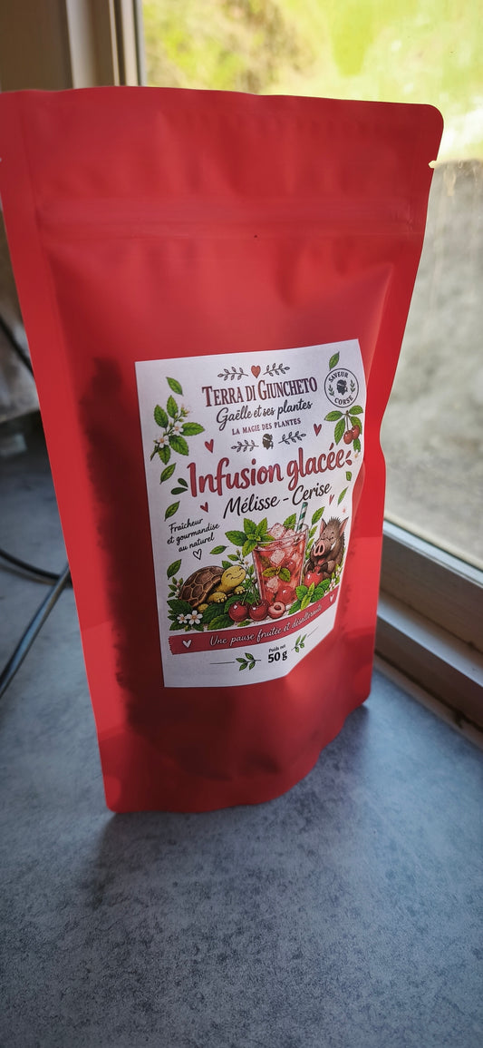 Infusion Glacée - Mélisse & Cerise 🍒