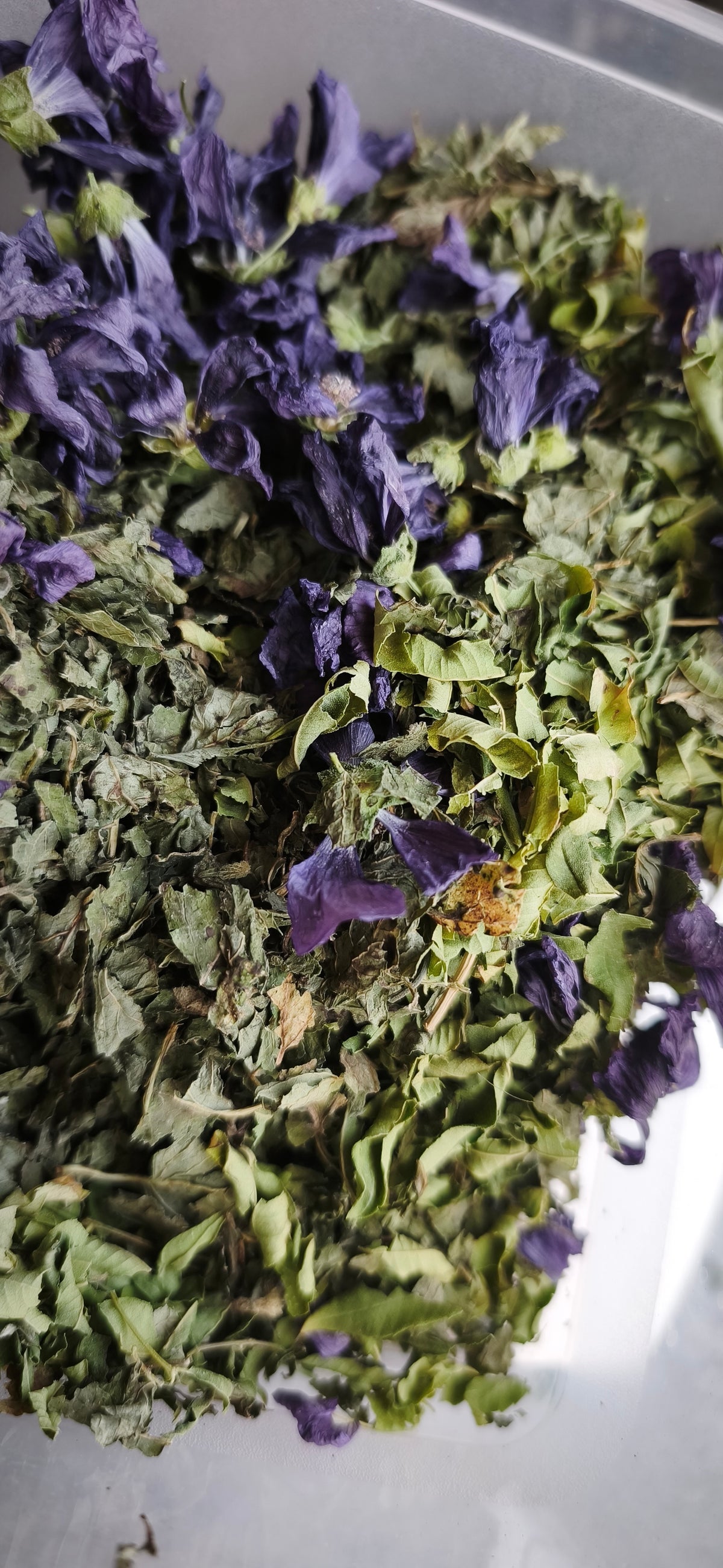🌿 Entre deux saisons 🌿