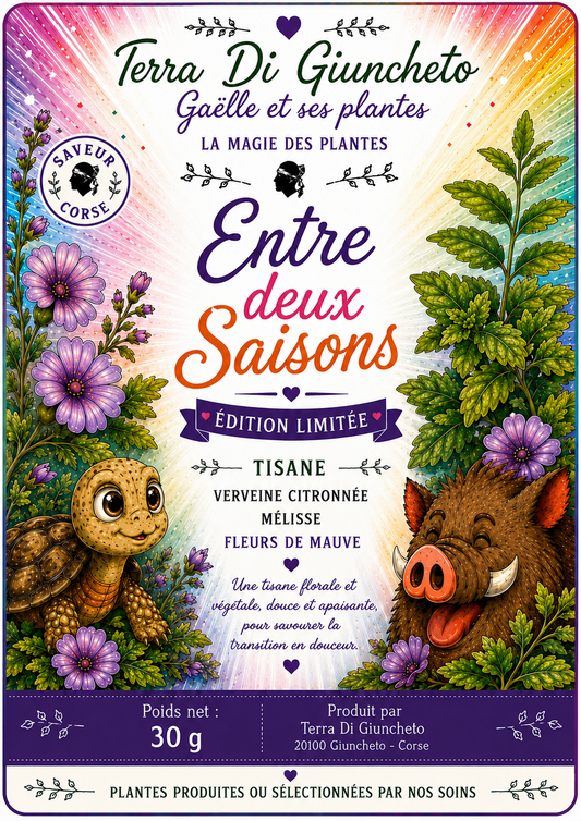 🌿 Entre deux saisons 🌿