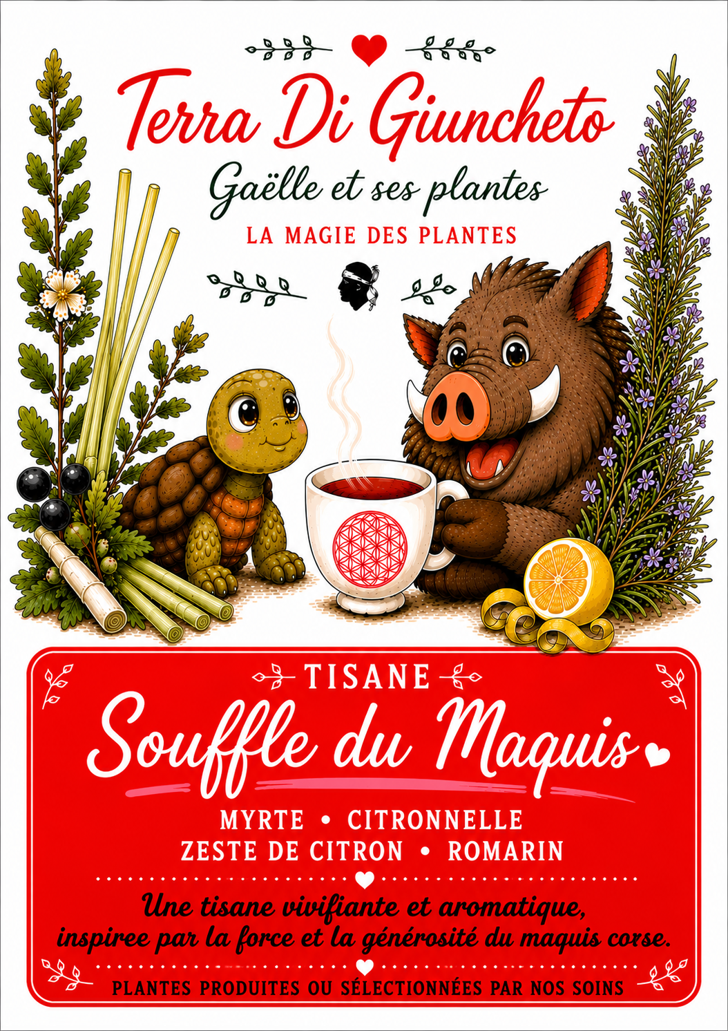 Tisane "Souffle du maquis"